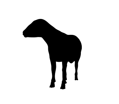 Black Sheep Silhouette PNG image