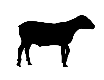 Black Sheep Silhouette PNG image