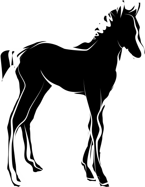 Black Silhouette Foal Illustration PNG image