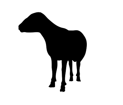 Black Silhouetteof Sheep PNG image