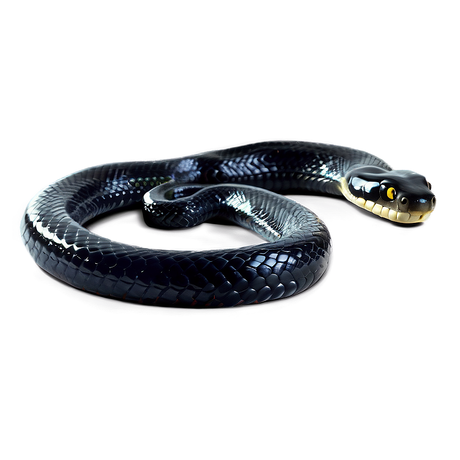 Black Snake Hissing Png Qdk56 PNG image