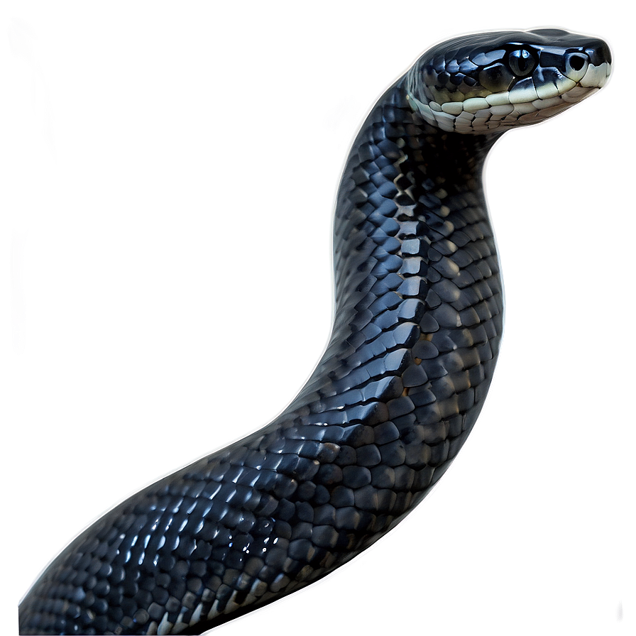 Black Snake In Moonlight Png 06132024 PNG image