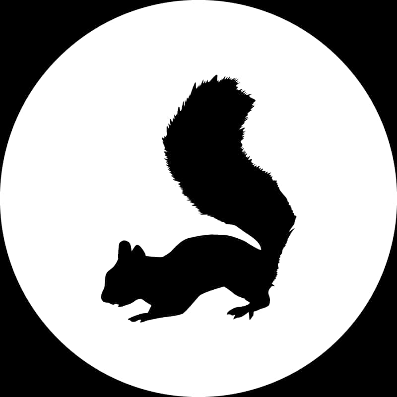 Black Squirrel Silhouette Circle Background PNG image