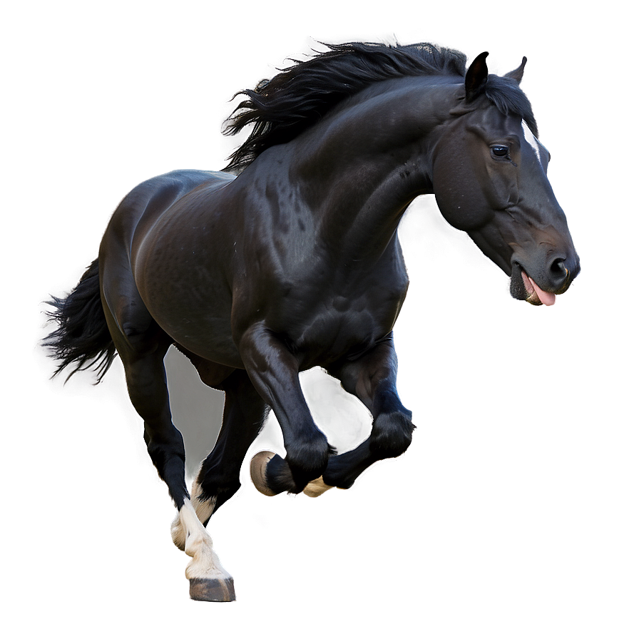 Black Stallion Running Wild Png 25 PNG image