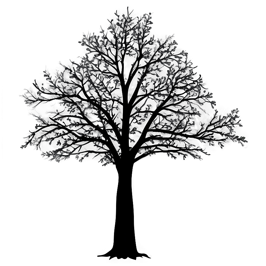 Black Tree Shadow Png Flk34 PNG image