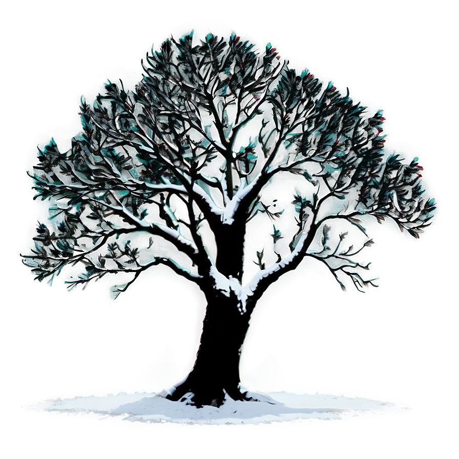 Black Tree Silhouette Png Clo81 PNG image