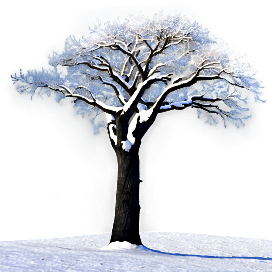 Black Trees In Snow Png 06292024 PNG image