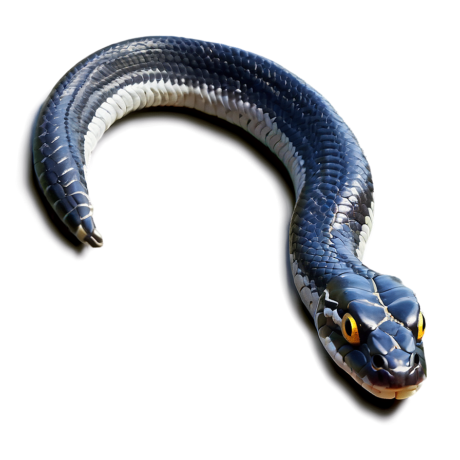 Black Viper Snake Illustration Png Cln98 PNG image