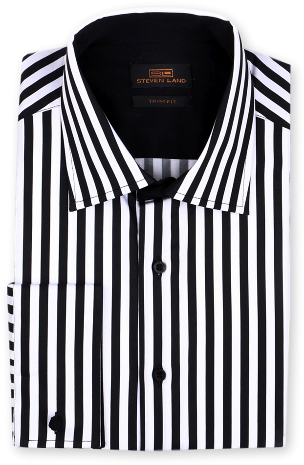 Black White Striped Dress Shirt PNG image