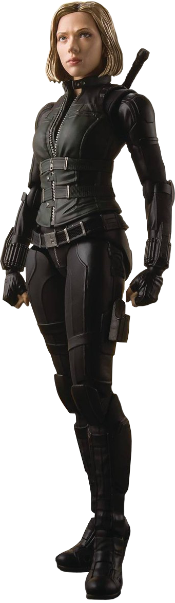 Black Widow Standing Pose PNG image