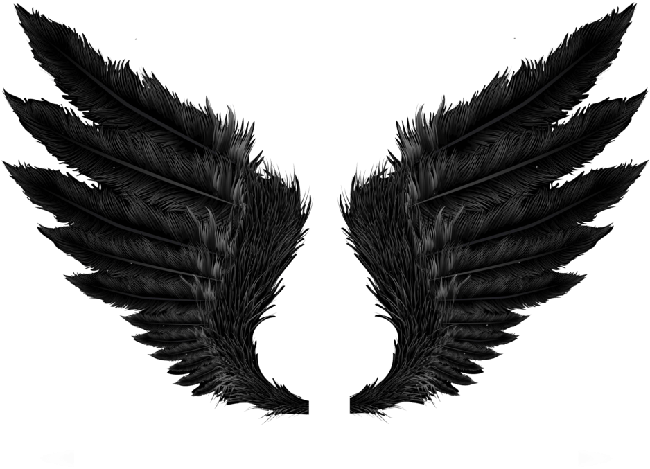 Black Wing Feathers Tattoo Design PNG image