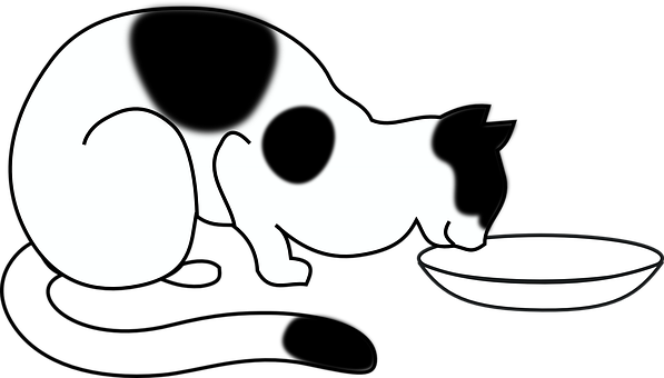 Blackand White Cat Drinking Milk PNG image