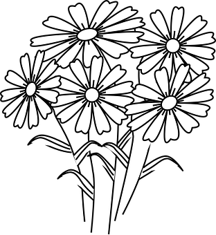 Blackand White Daisy Vector PNG image