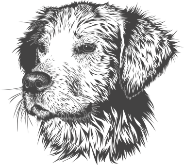 Blackand White Dog Illustration PNG image