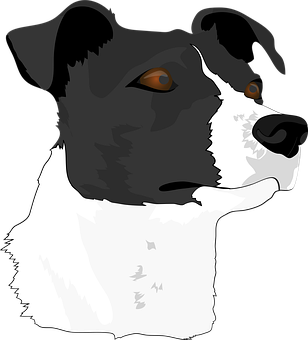 Blackand White Dog Portrait PNG image