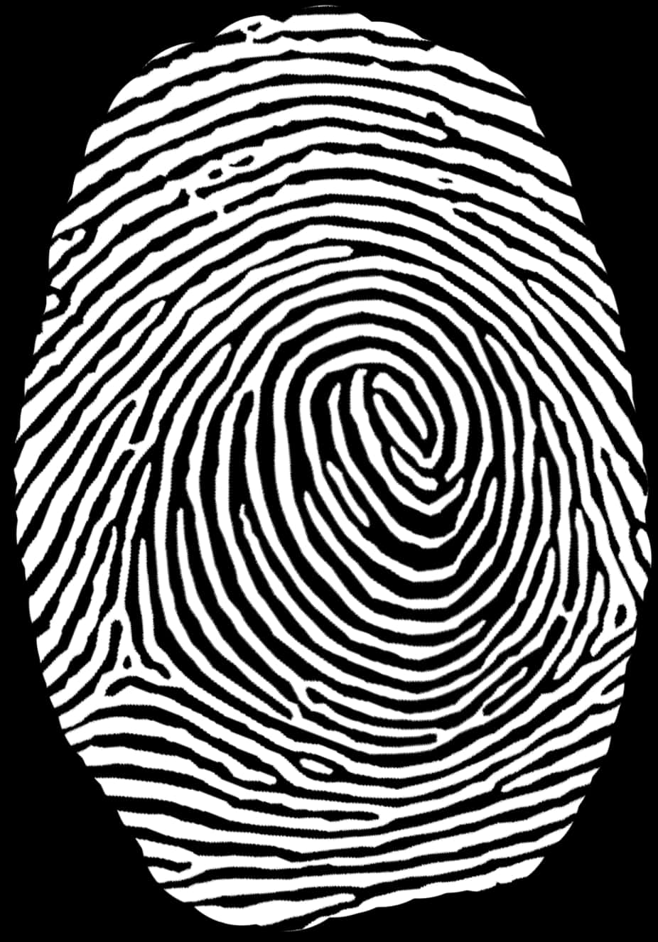Blackand White Fingerprint Pattern PNG image