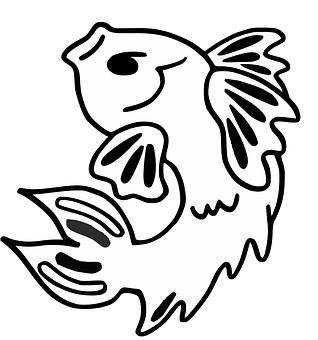 Blackand White Fish Drawing PNG image