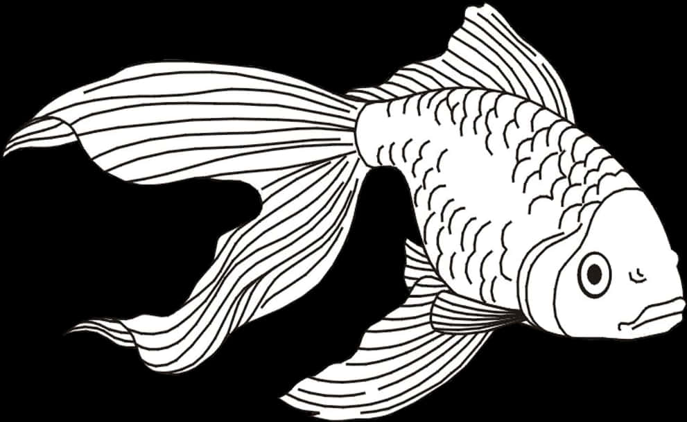 Blackand White Goldfish Illustration PNG image