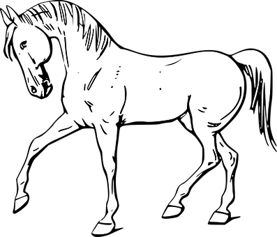 Blackand White Horse Illustration PNG image