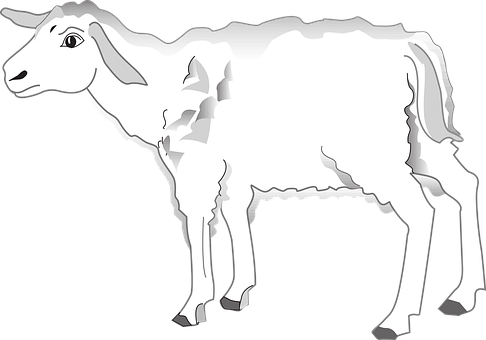 Blackand White Lamb Illustration PNG image