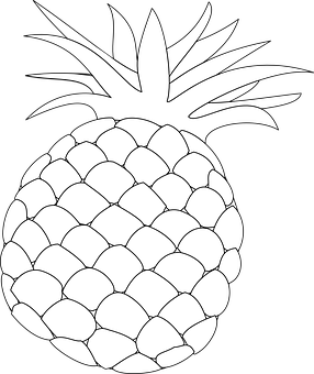 Blackand White Pineapple Drawing PNG image