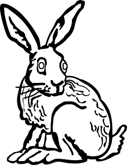 Blackand White Rabbit Illustration PNG image