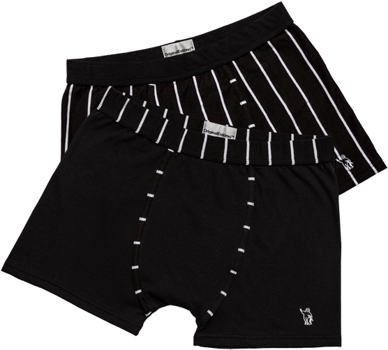 Blackand White Striped Boxer Briefs PNG image