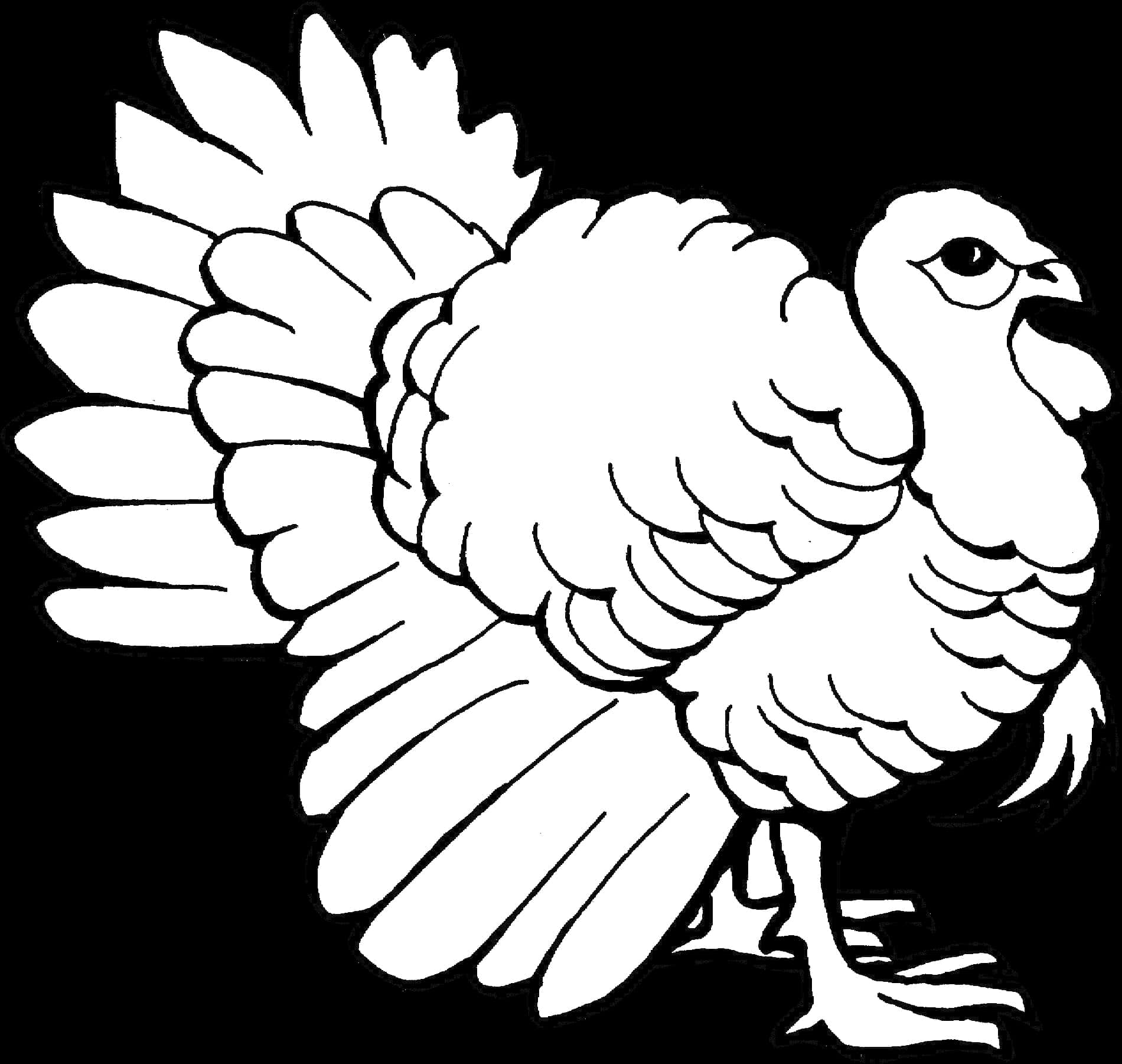 Blackand White Turkey Illustration PNG image