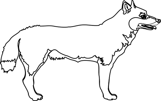 Blackand White Wolf Illustration PNG image