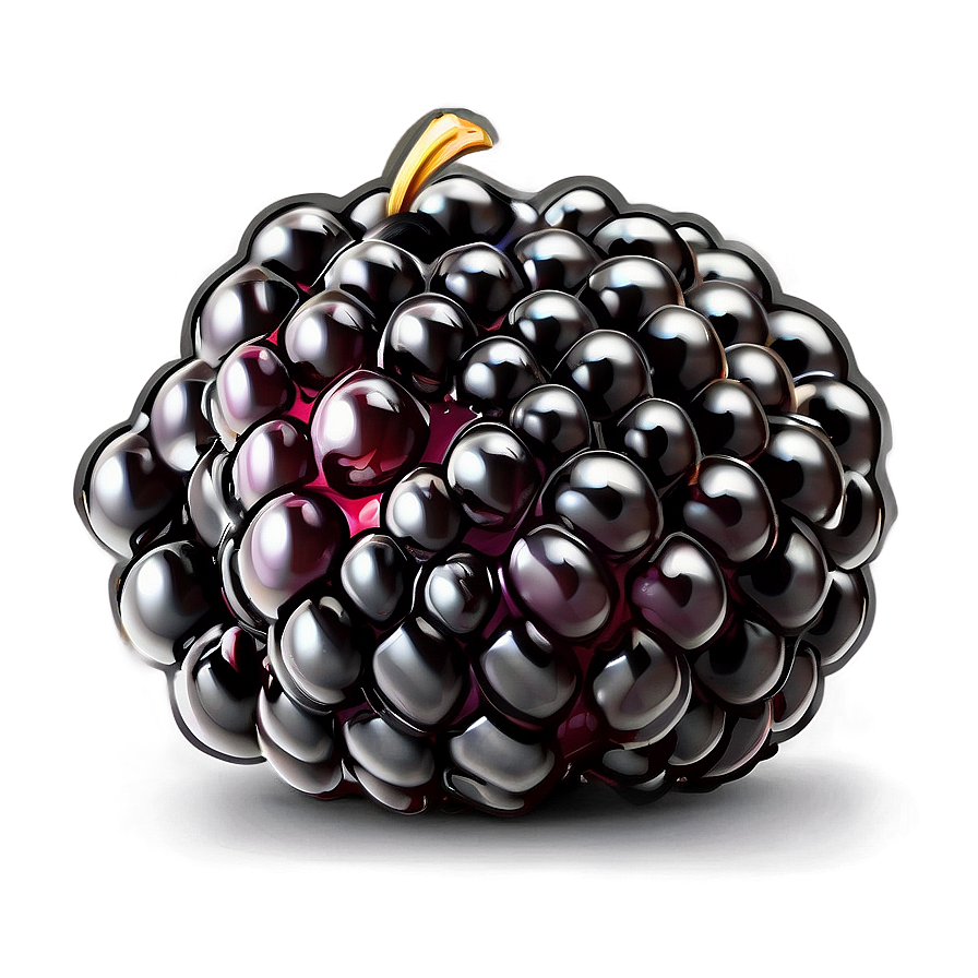 Blackberry Delight Png 34 PNG image