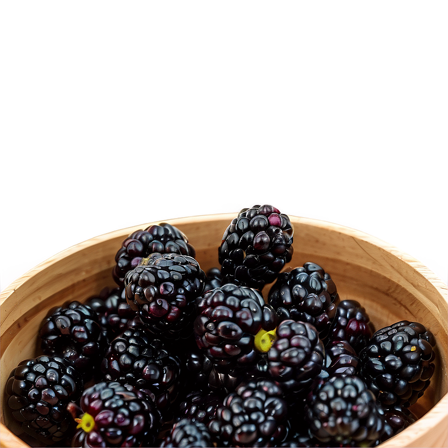 Blackberry Harvest Png 05232024 PNG image