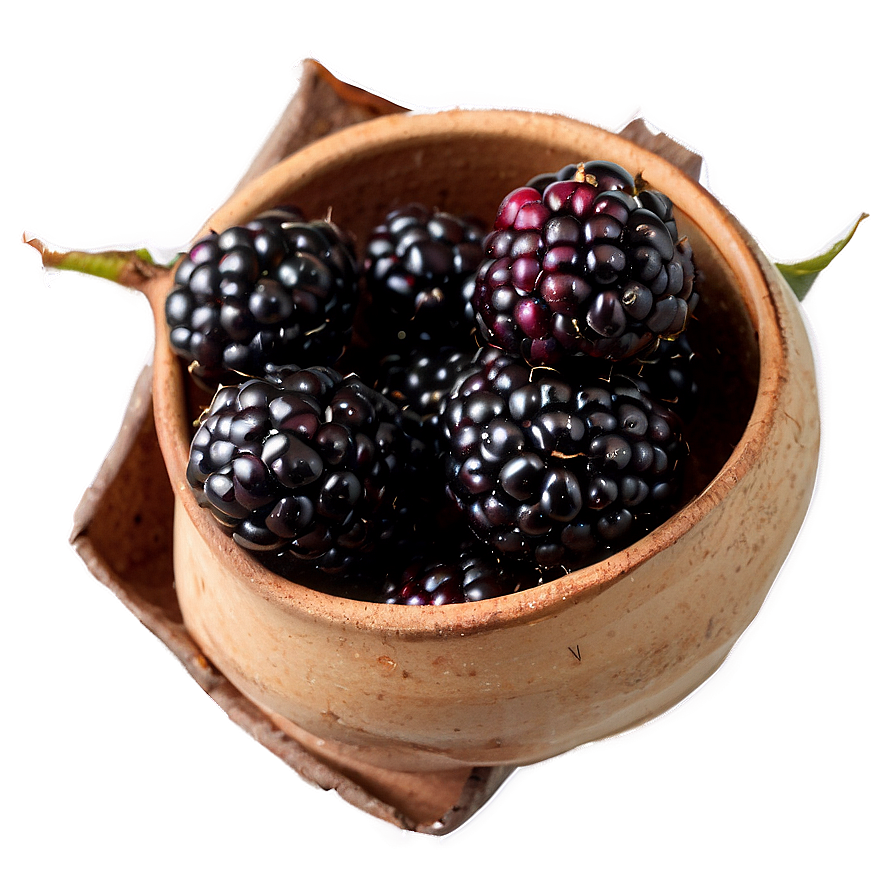 Blackberry Season Png Dro88 PNG image