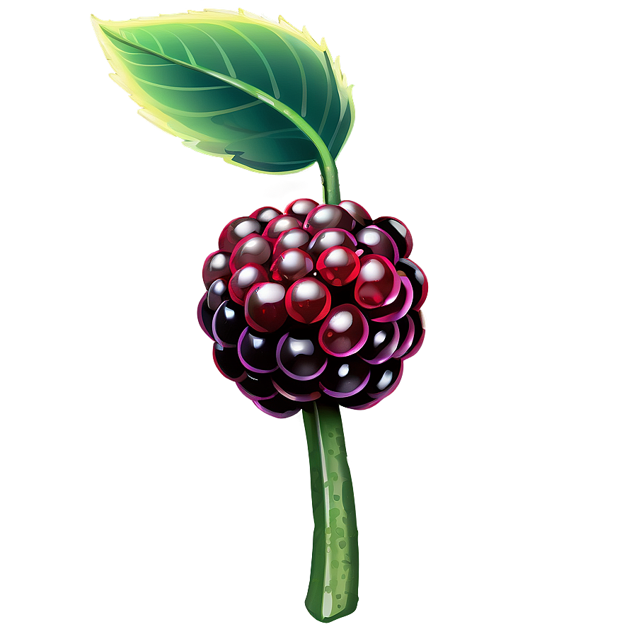 Blackberry Snack Png 05232024 PNG image