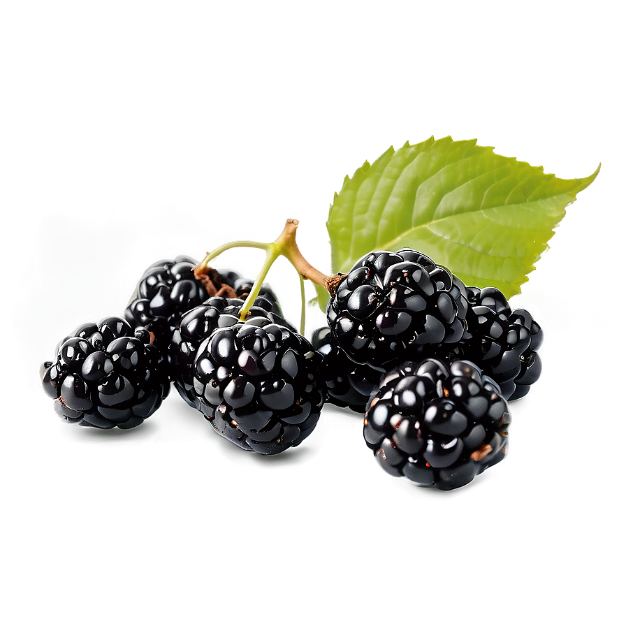 Blackberry With Leaves Png 05232024 PNG image