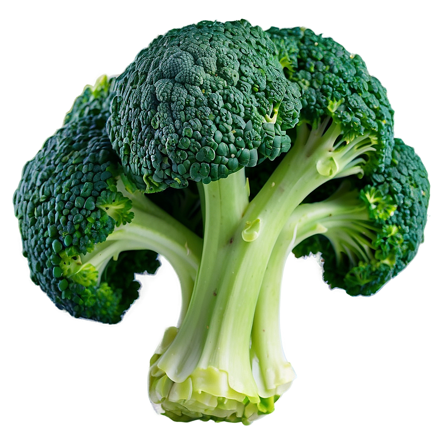 Blanched Broccoli Png Obu PNG image