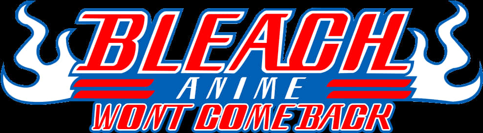 Bleach Anime Return Statement PNG image