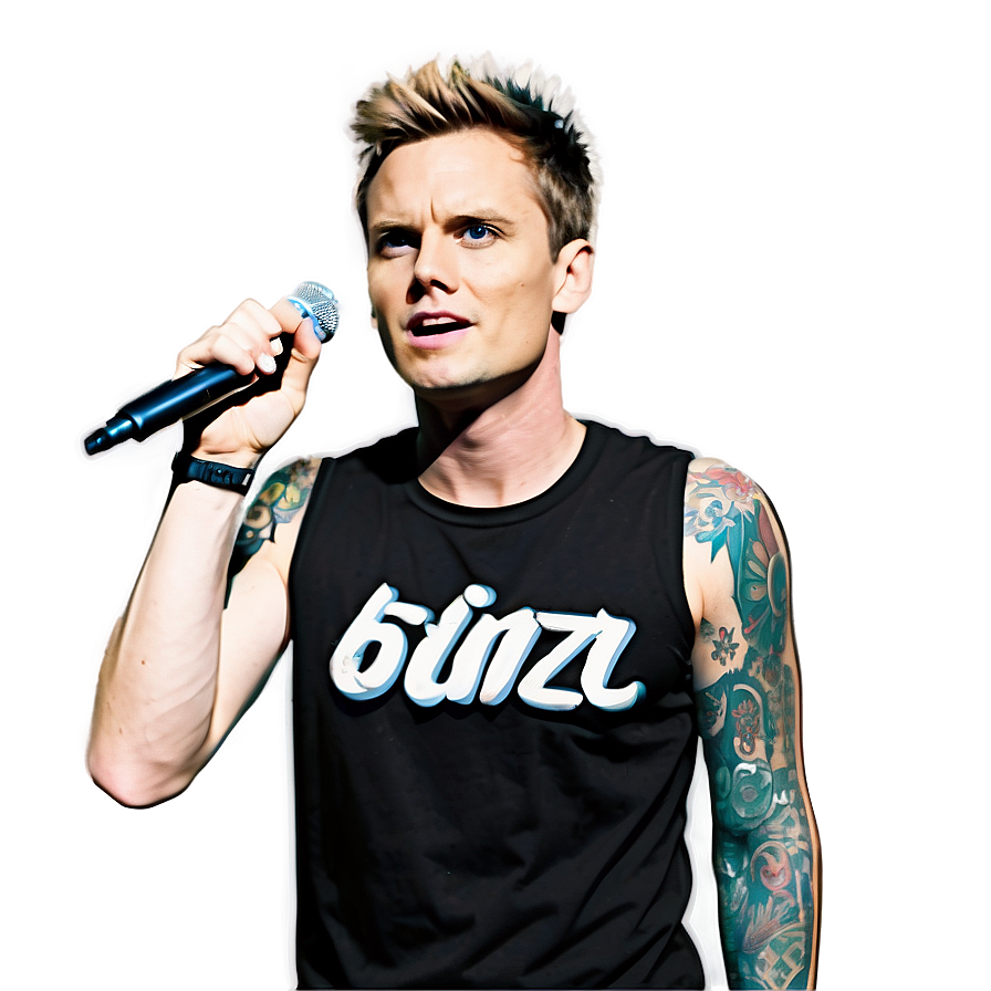 Blink-182 Live Concert Scene Png 73 PNG image