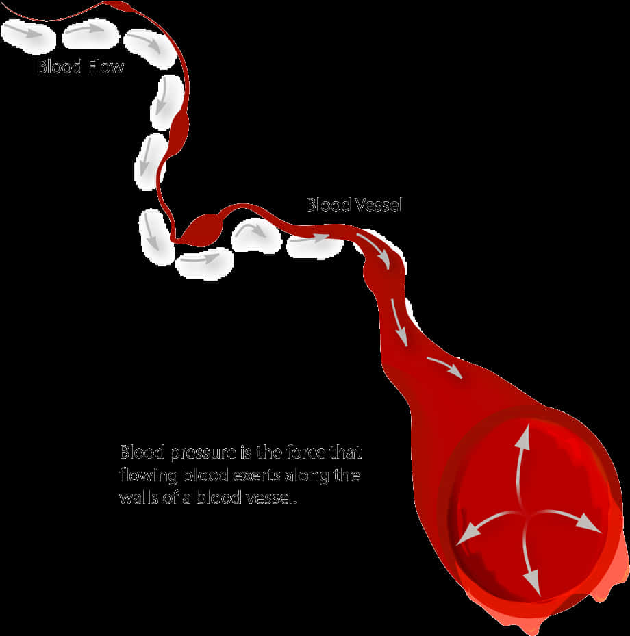 Blood Pressureand Flow Explanation PNG image