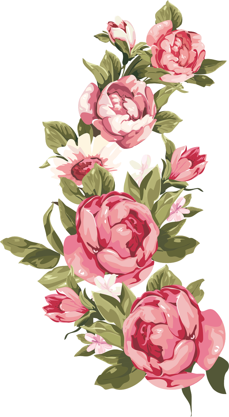 Blooming Camellia Illustration PNG image