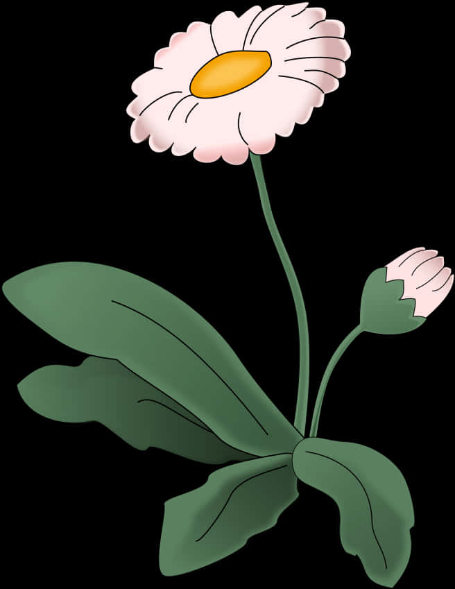 Blooming Daisy Vector Illustration PNG image