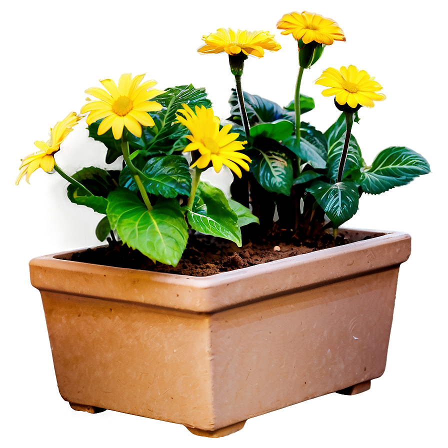 Blooming Flower Pots Png Wgc11 PNG image