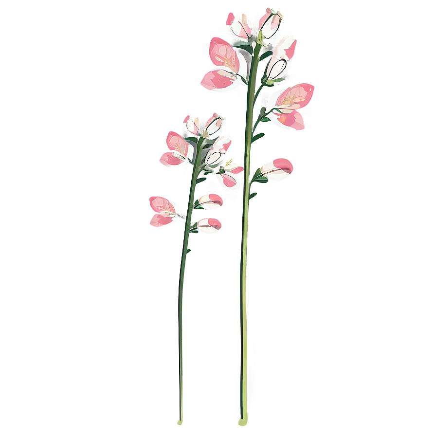 Blooming Flower Stem Png Fgb PNG image