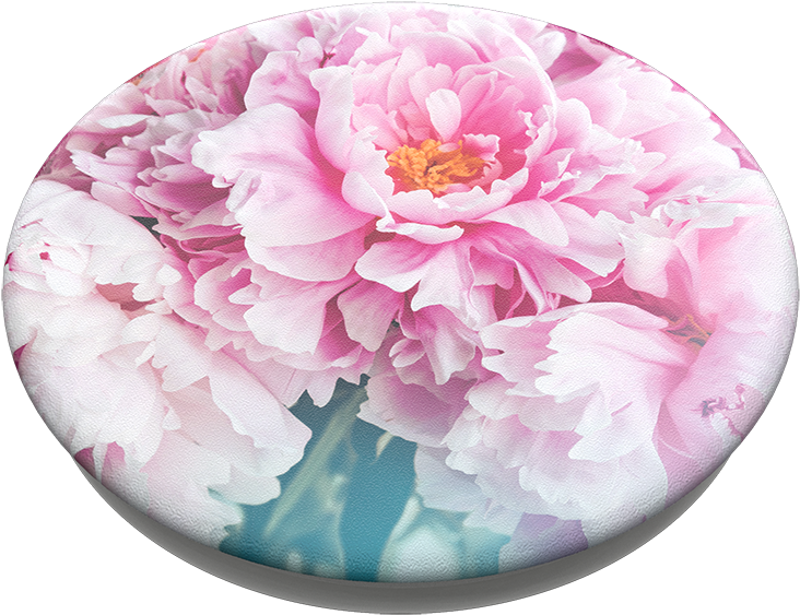 Blooming Pink Peony Flower PNG image