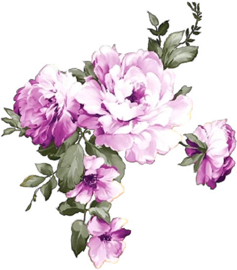 Blooming Purple Peony Flowers PNG image