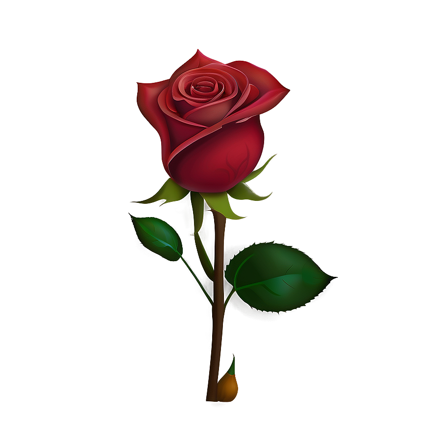 Blooming Red Rose Png 05242024 PNG image