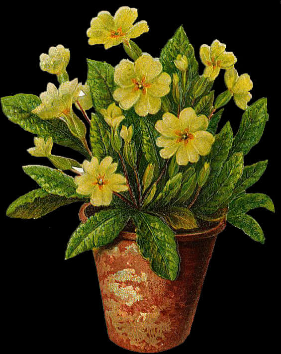 Blooming Yellow Flowersin Clay Pot PNG image