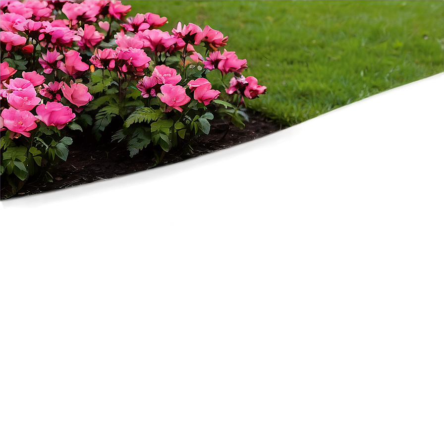 Blossoming Flower Bed Png Djx PNG image