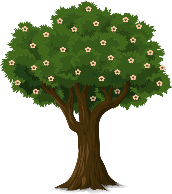Blossoming Tree Illustration PNG image