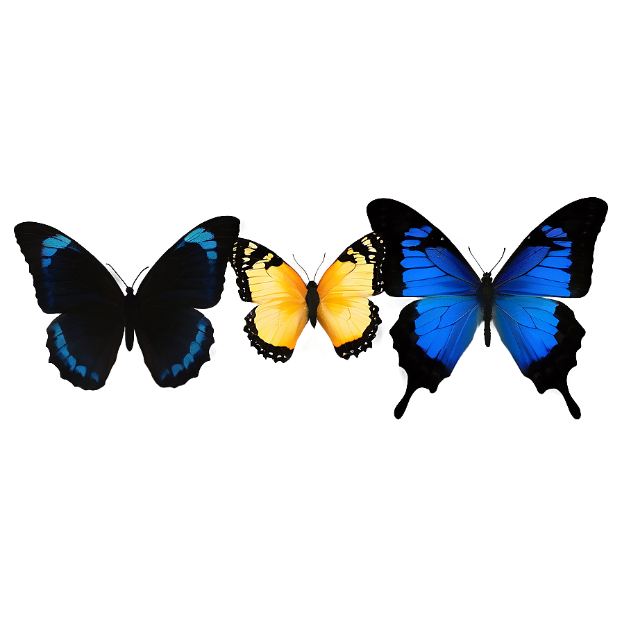 Blue And Black Butterfly Png Ycy PNG image