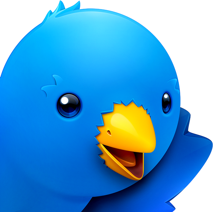 Blue Bird Cartoon Character PNG image